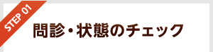 問診・状態のチェック